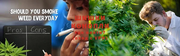 спиды Елизово