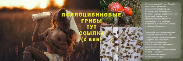 спиды Елизово