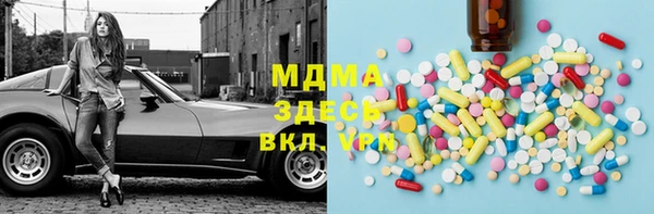 гидра Ельня