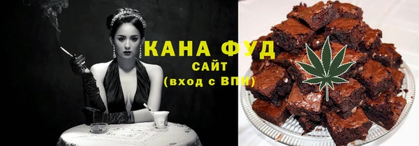 гидра Ельня
