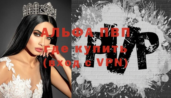 спиды Елизово