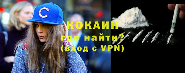 гидра Ельня