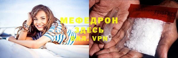 гидра Ельня