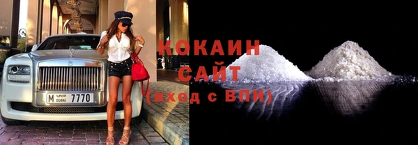 гидра Ельня
