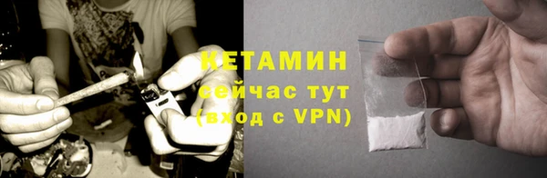 гидра Ельня