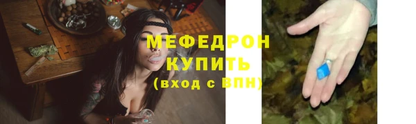 гидра Ельня
