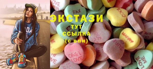 гидра Ельня
