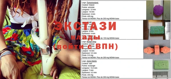 гидра Ельня