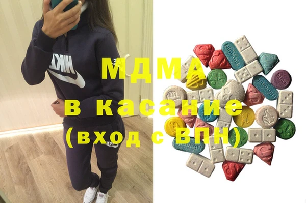 гидра Ельня