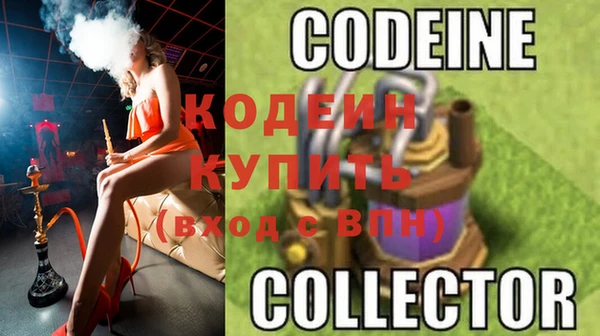 спиды Елизово