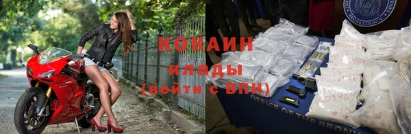 гидра Ельня