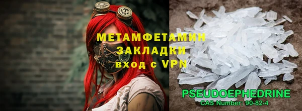 гидра Ельня