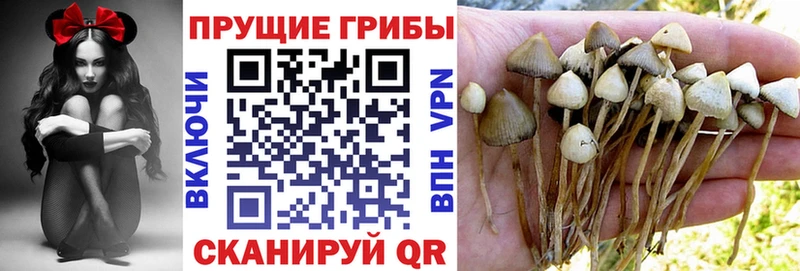 Галлюциногенные грибы мицелий  гидра зеркало  Знаменск 