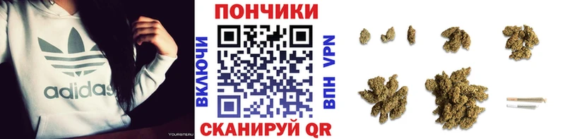 хочу наркоту  Знаменск  Каннабис сатива 
